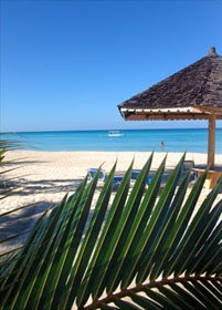 Jamaica Jamaica