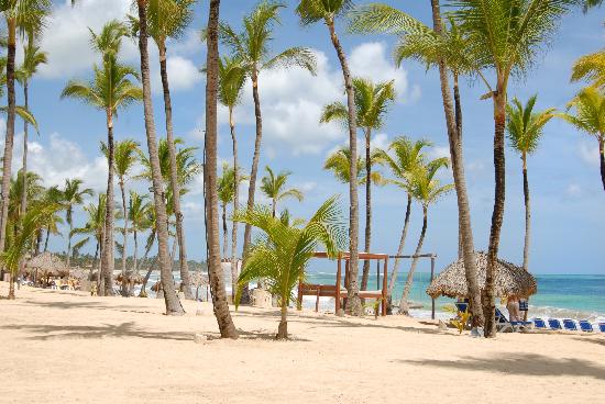 beach beach